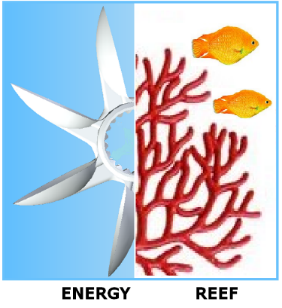 una turbina eolica e un corallo